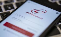 e-Devlet Erişim Sorunu Yaşandı Ne Zaman Düzelecek