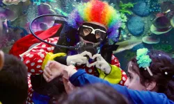 Trabzon’da 23 Nisan Programı Büyük İlgi Gördü