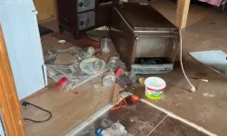 Trabzon’da Ayı Hareketliliği Yaylalarda Tedirginlik Yarattı