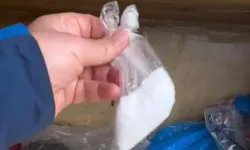 Trabzon Yayla Yolunda Şaşırtan Görüntü