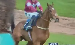 İngiltere’de Yarışı Kazanan At Hayatını Kaybetti