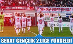 Sebat 2. Lige Yükseldi! Şampiyonluk Böyle Geldi