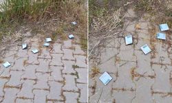 Parkta Bulduğu Paralar Reklam Çıkınca Şaşırdı