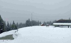 Ilgaz Dağı’nda Nisan Sürprizi: Kar Yağışı Etkili Oldu