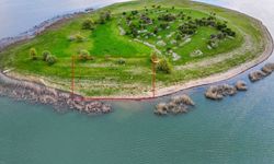 Adada Çobansız Hayvancılıkta Yavru Sürprizi