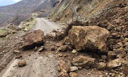 Karakoçan’da Heyelan Yolu Ulaşıma Kapattı