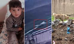 Van’da Köpek Saldırısı: Çocuk Hayatını Kaybetti