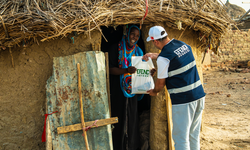 Vekaletle Kurban Bağışı Nasıl Yapılır?