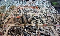 Av Yasağıyla Tezgahlarda Kültür Balığı Dönemi Başladı