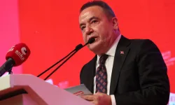 Böcek Görüntülerine Soruşturma Başlatıldı