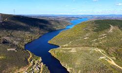 Ömerli Barajı Doluluk Oranı Yükseldi