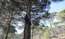 “Örümcek Adamlar” İş Başındalar