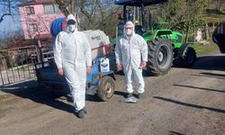 Samsun’da Kokarca Zararlısına Karşı Mücadele Sürüyor