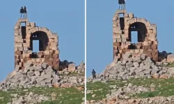 Şanlıurfa’da Tarihi Yapıda Halay Tepkisi