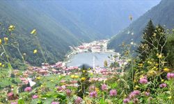 Yerli Turist Harcaması 555 Milyar TL Oldu