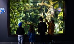 Trabzon’da 23 Nisan Etkinlikleri Yoğun İlgi Gördü