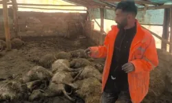 Üreticinin Tüm Birikimi Bir Gecede Yok Oldu