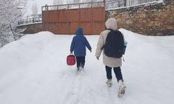 Van’da Kar Yağışı 93 Yerleşim Yolunu Kapattı