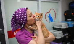 Trabzon’da Sokak Hayvanlarına Güvenli Yaşam