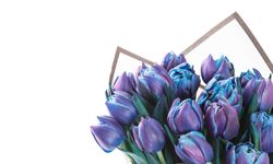 En Taze Çiçekler ile Modern Hediyeleşme