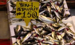 Trabzon’da Av Sezonu Bitiyor Fiyatlar Artabilir