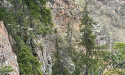 Artvin’de Yaralanan Vatandaş Helikopterle Kurtarıldı