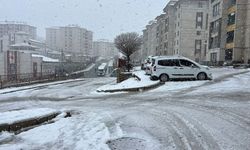 Yüksekovada Kar Yağışı İlçeyi Beyaza Bürüdü