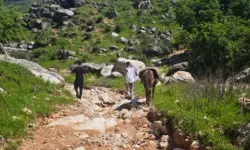 Sason’da Şifalı Pancar Mesaisi Başladı