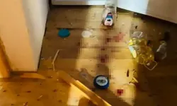 Torul Yaylasında Ayılar Evleri Talan Etti