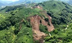 Ordu’da Fındık Bahçesinde Heyelan Panik Yarattı
