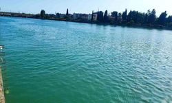 Seyhan Nehri’nde Korku Dolu Anlar