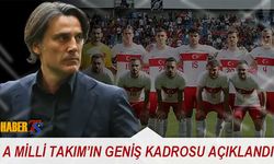 A Milli Takım Dünya Kupası Geniş Kadrosunu Açıklandı
