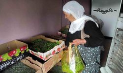 Sason’da İpek Böcekçiliği Yeniden Canlanıyor