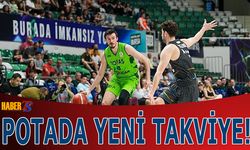 Trabzonspor'a Potada Takviye! O İsimle Anlaştılar