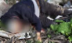 Düzce Yaylasında Şüpheli Ölüm! Dere Kenarında Bulundu