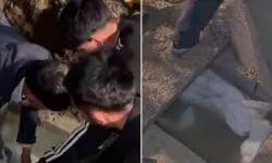 Muş’ta Mezarlıkta Tepki Çeken Olay