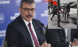 Ankara'daki Kurban Kesimi Görüntüleri Tepki Çekti