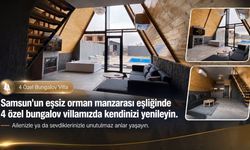 Doğa İçinde Samsun Bungalov Orman Konaklama Rehberi