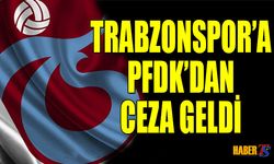 Trabzonspor'a PFDK'dan Tribün ve Para Cezası