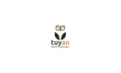 Konya Logo Tasarım Çalışmasında Sektörel Yaklaşım Nasıl Belirleyici Olur?