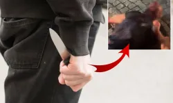 Urla’da Akraba Kavgası Kanlı Bitti