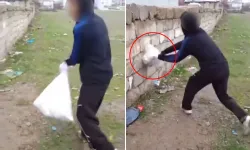 Van’da Hayvana Şiddet Görüntüleri Tepki Çekti