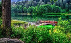 Karadeniz’den Batum’a Uzanan Keyifli Rotalar: Rize Günübirlik Turlar Rehberi