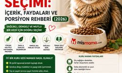 Kuru Kedi Maması Seçimi: İçerik, Faydaları ve Porsiyon Rehberi (2026)