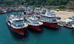 Trabzonlu Balıkçılar Orkinos Kotasını Erken Tamamladı