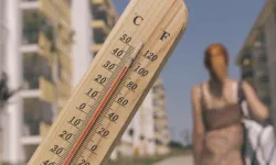 Avrupa'da Ejderha Sıcakları Alarmı Verildi