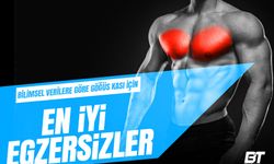 En İyi Omuz Hareketleri Güçlü Bir Duruş ve Etkileyici Bir Üst Vücut İçin Temel Rehber