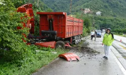 Karadeniz Sahil Yolu'nda Kamyon Bahçeye Girdi