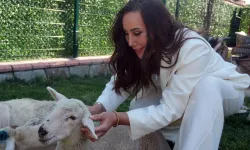 Asena'nın Yeni Aşkı Ortaya Çıktı