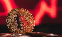 Bitcoin Küresel Varlık Sıralamasında Geriledi